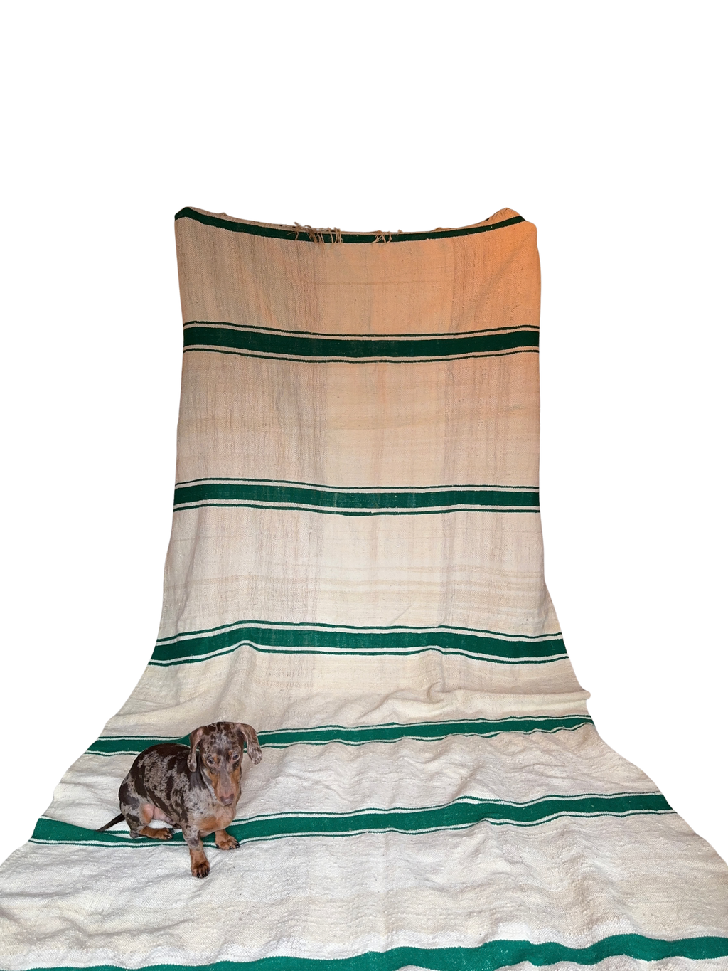 Large Handwoven Wool Throw/Rug