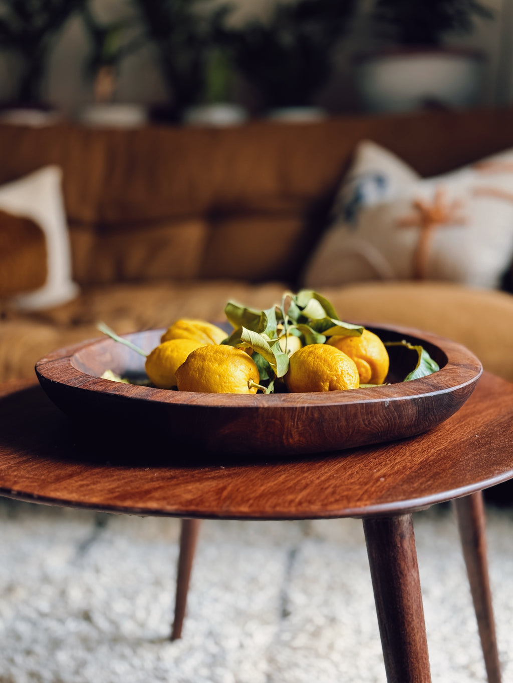 Large Wooden Piece/Bowl