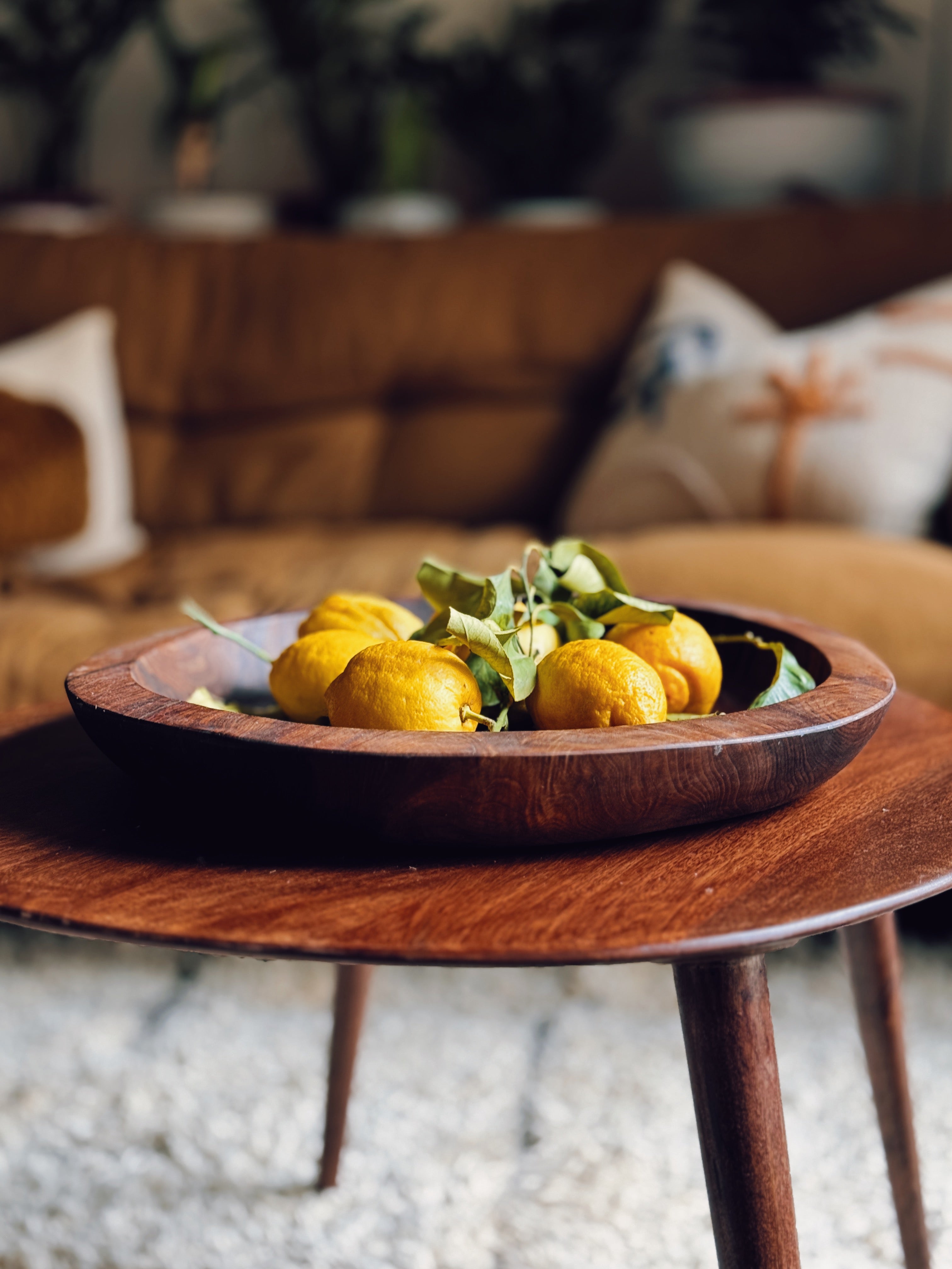 Large Wooden Piece/Bowl